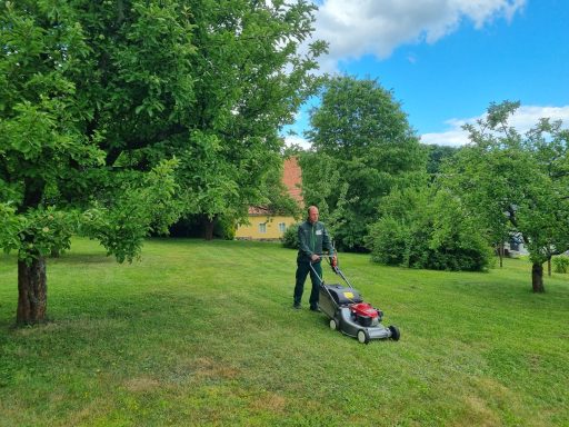 Rasenpflege, Grünpflege, Rasenmähen, Gartenhilfe, Gartenpflege, Zittau, Löbau, Görlitz, Bautzen, Dienstleistungen, Haus, Garten, Grundstück,